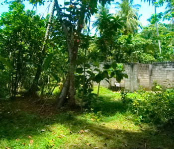 Property Sri Lanka
