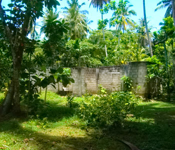 Property Sri Lanka