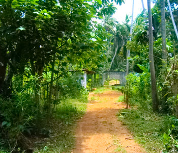 Property Sri Lanka