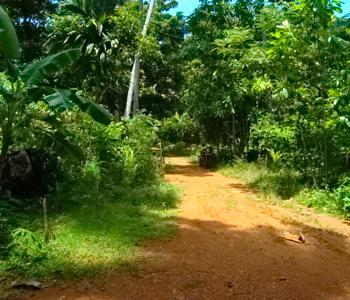 Property Sri Lanka