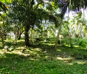 Property Sri Lanka
