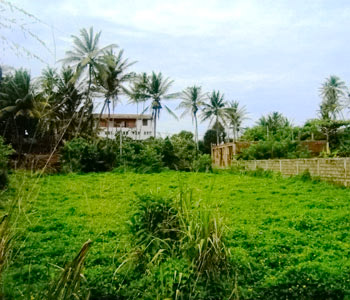 Properties Sri Lanka