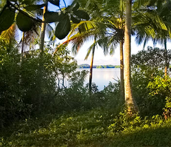 Property Sri Lanka
