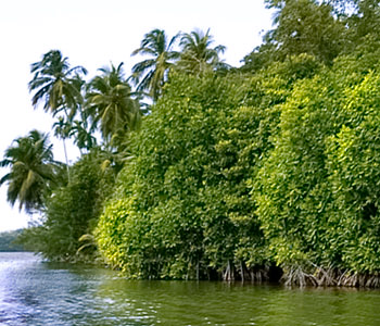 Property Sri Lanka