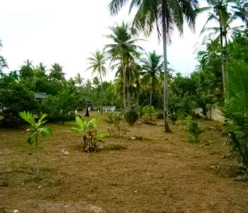 Property Sri Lanka