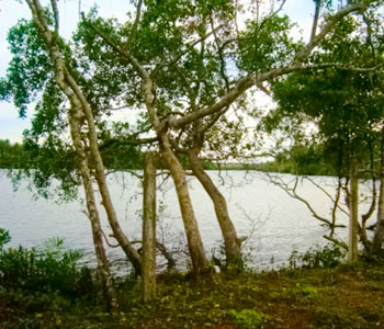 Property Sri Lanka