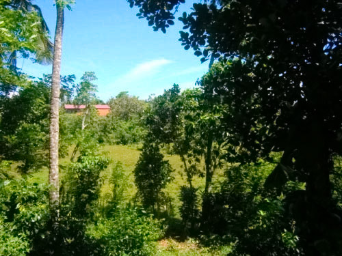 Property Sri Lanka