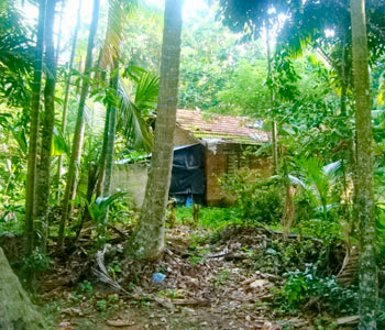 Real Estate Sri Lanka