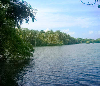 Real Estate Sri Lanka