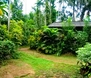 Property Sri Lanka