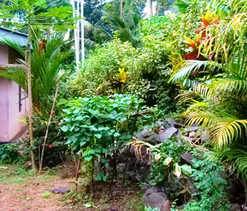 Property Sri Lanka