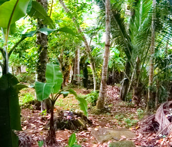 Property Sri Lanka