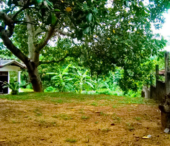 Real Estate Sri Lanka