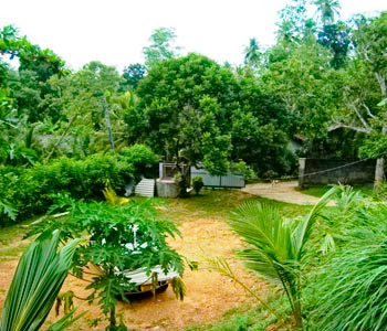 Real Estate Sri Lanka