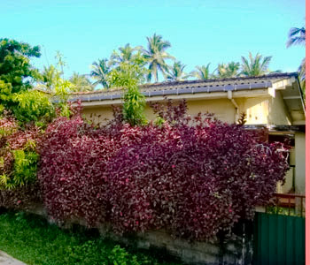 Real Estate Sri Lanka