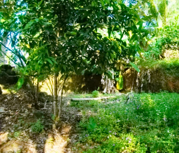 Real Estate Sri Lanka