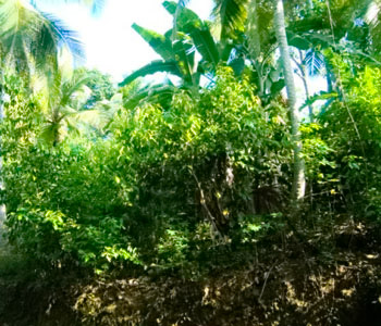 Real Estate Sri Lanka