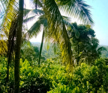Real Estate Sri Lanka