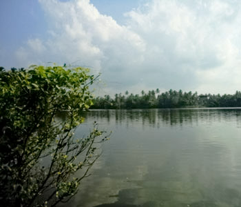 Properties Sri Lanka