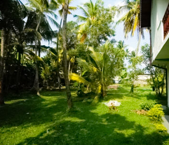 Properties Sri Lanka