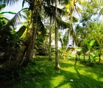 Properties Sri Lanka