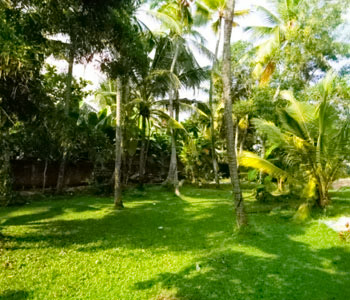 Properties Sri Lanka