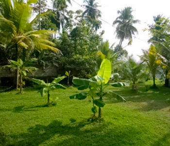Properties Sri Lanka