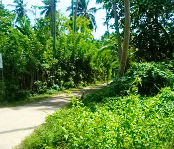 Real Estate Sri Lanka