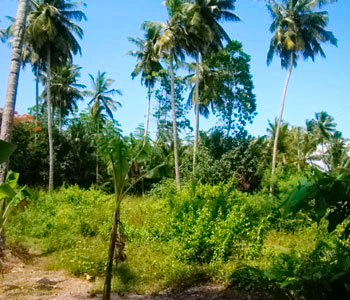 Real Estate Sri Lanka