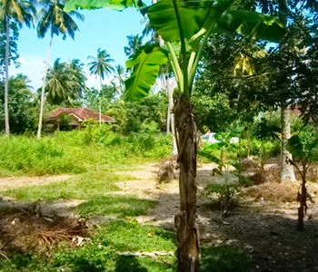 Real Estate Sri Lanka