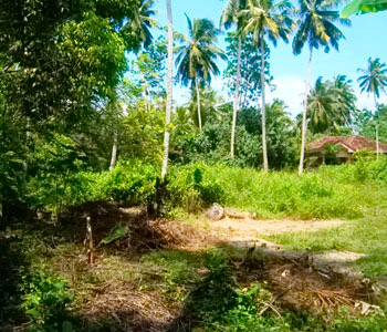 Real Estate Sri Lanka