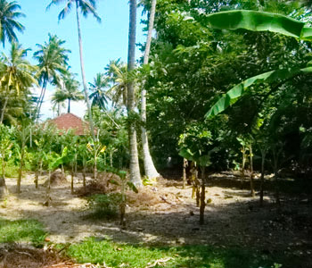 Real Estate Sri Lanka