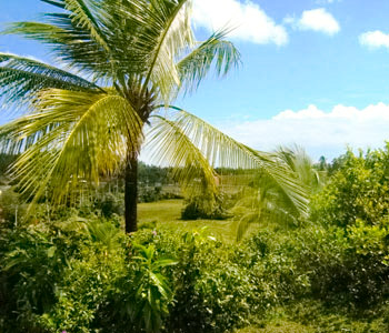 Real Estate Sri Lanka