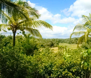 Real Estate Sri Lanka