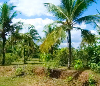 Real Estate Sri Lanka