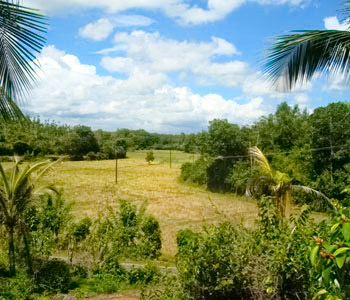 Real Estate Sri Lanka