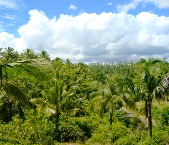 Real Estate Sri Lanka