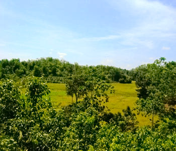 Properties Sri Lanka