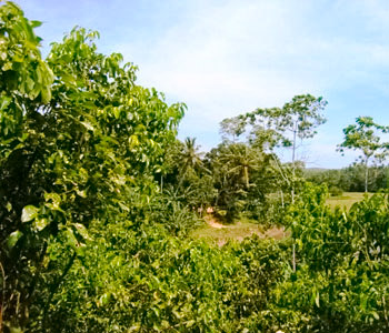 Properties Sri Lanka
