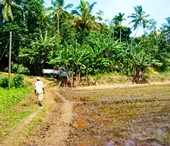 Properties Sri Lanka