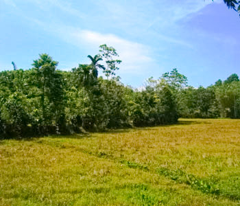Properties Sri Lanka