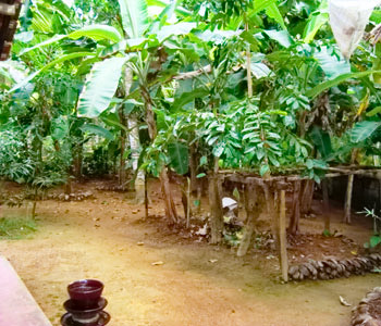 Properties Sri Lanka