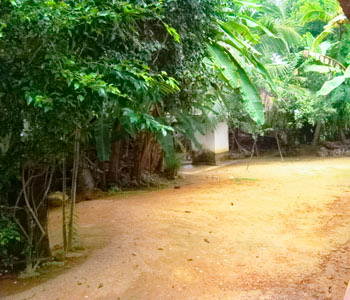 Properties Sri Lanka