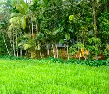 Real Estate Sri Lanka