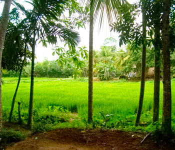 Real Estate Sri Lanka