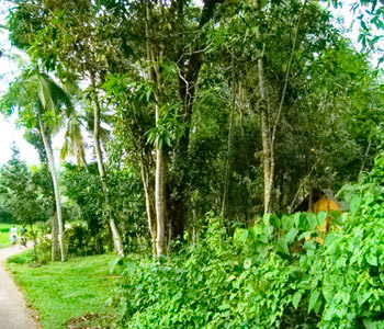 Real Estate Sri Lanka