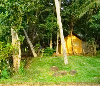 Real Estate Sri Lanka