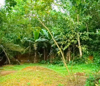 Real Estate Sri Lanka