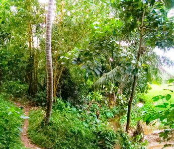 Real Estate Sri Lanka