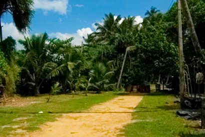 Sri Lanka Real Estate Beach
